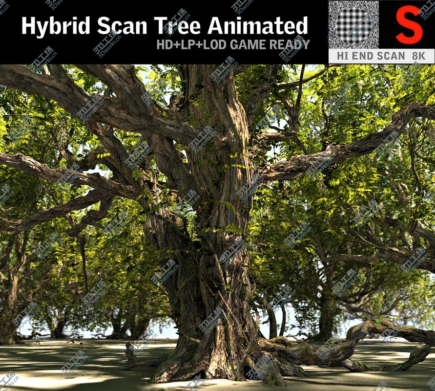 images/goods_img/2021040232/Forest Pack Animated 20 3D model/2.jpg